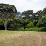 3d开奖结果第19239期最新开奖号码已公布 0uf1mh25