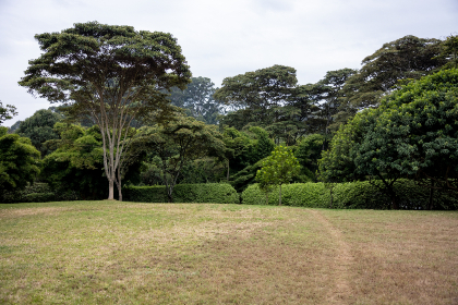 3d开奖结果第19239期最新开奖号码已公布 3d开奖结果第19239期最新开奖号码已公布