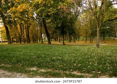 2017赛季中超联赛精彩视频直播全纪录 2017赛季中超联赛精彩视频直播全纪录