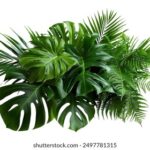 2017法网男单巅峰对决直播全程精彩不容错过 9y3j9fb81