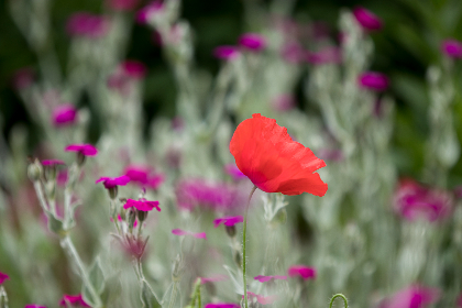 2017年阅兵直播盛况全记录 2017年阅兵直播盛况全记录
