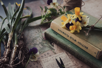 2017年第59期彩票开奖结果查询与中奖号码公布 2017年第59期彩票开奖结果查询与中奖号码公布