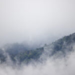 2017赛季中超焦点战:华夏幸福对阵北京国安直播 br7bq