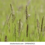 3d开奖结果第265期最新开奖号码已公布 d9kau0