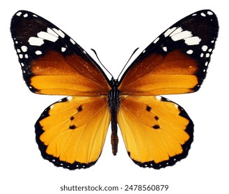 2017年羽毛球全赛季赛事直播精彩回顾 2017年羽毛球全赛季赛事直播精彩回顾