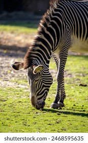 2017年福州国际龙舟赛现场直播全纪录 2017年福州国际龙舟赛现场直播全纪录