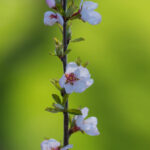 3D开奖结果第314期最新公布:中奖号码已揭晓 u4jfb32fn