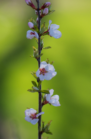 3D开奖结果第314期最新公布:中奖号码已揭晓 3D开奖结果第314期最新公布:中奖号码已揭晓