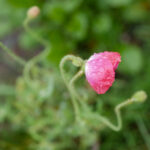 2017赛季中超联赛CCTV5独家直播精彩赛事全记录 uugayua