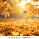 2017永昌直播:见证历史时刻的精彩瞬间 vltwt6r