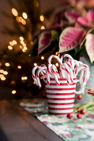 2017苏迪曼杯羽毛球赛全程直播精彩看点 2017苏迪曼杯羽毛球赛全程直播精彩看点